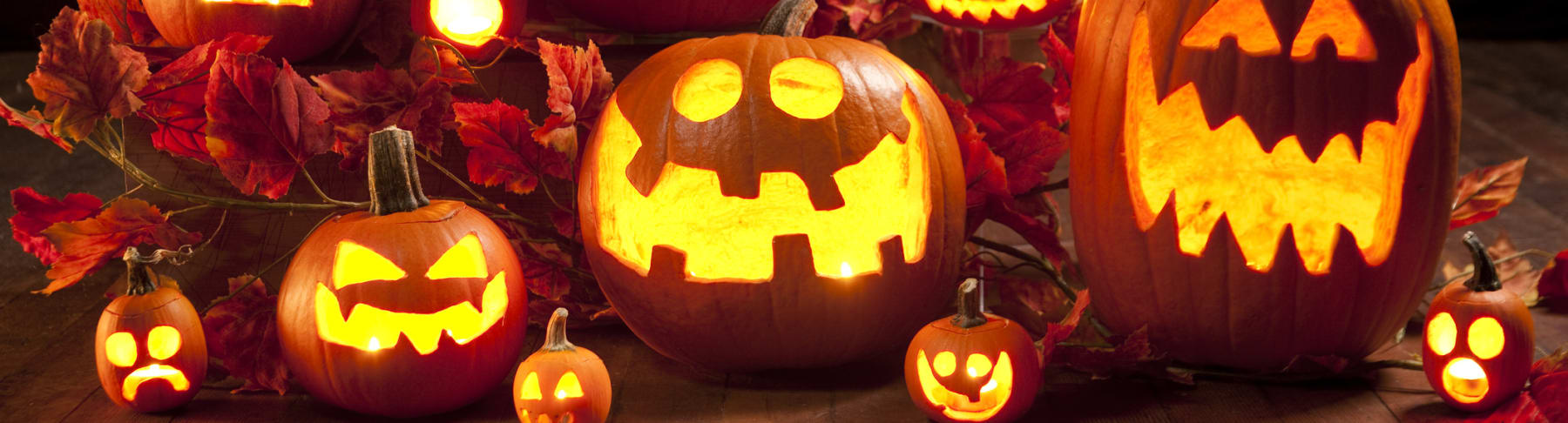 Variety of Halloween pumpkins shown in a display.